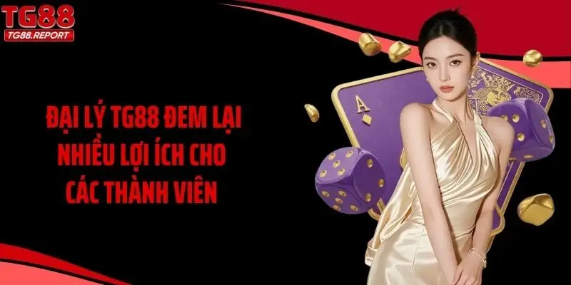 Đại lý TG88 đem lại nhiều lợi ích cho các thành viên 